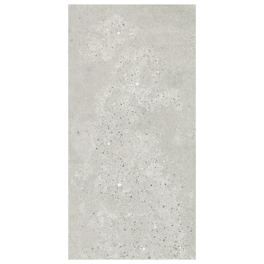 Rustic Tile 60-120FMC10005M (2)