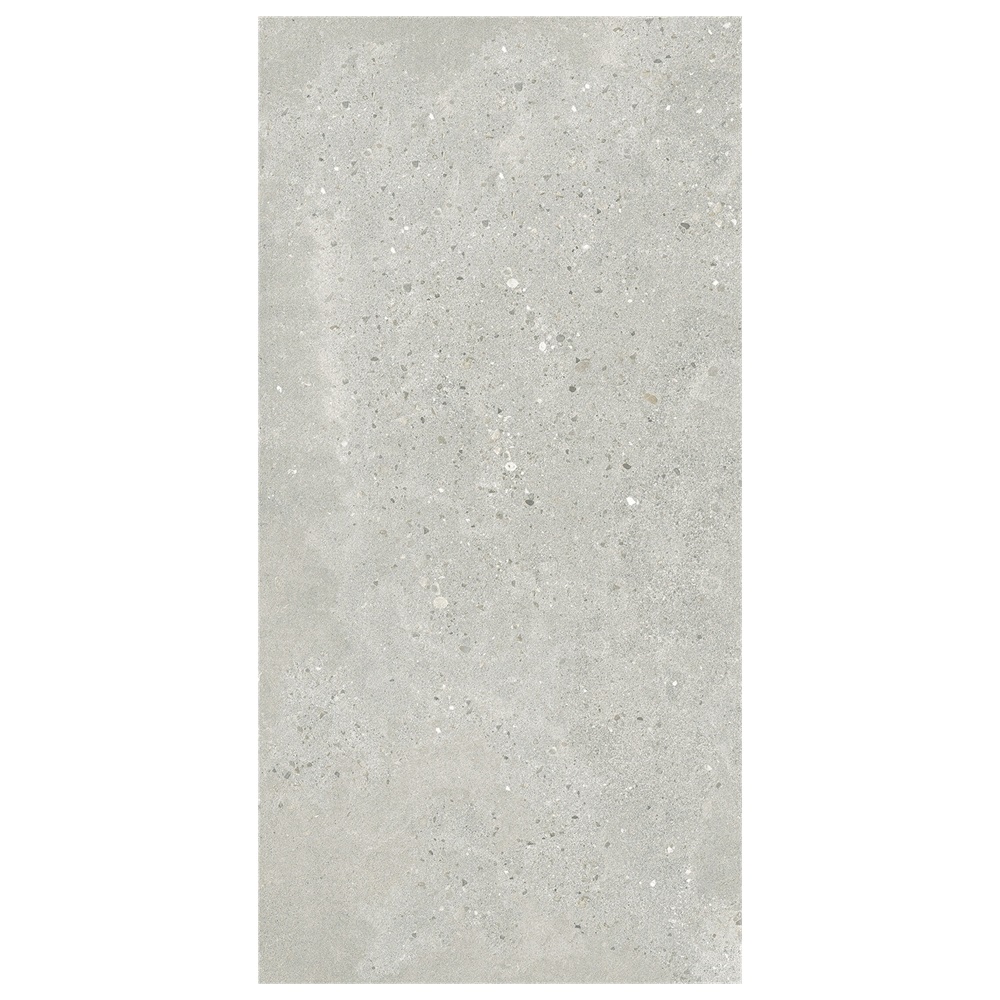 Rustic Tile 60-120FMC10005M (3)