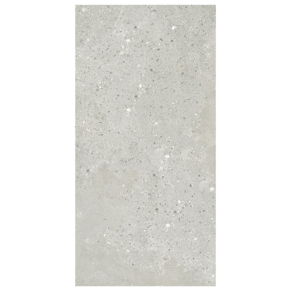 Rustic Tile 60-120FMC10005M (4)