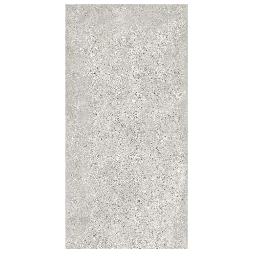 Rustic Tile 60-120FMC10005M (5)