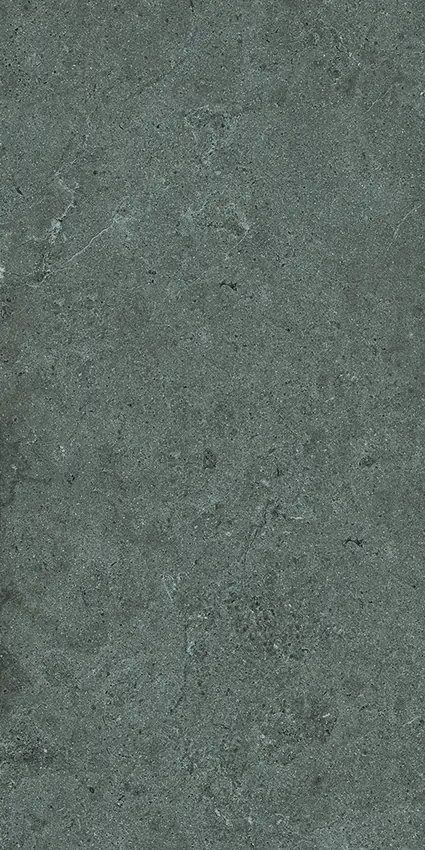 D-M36003-F1